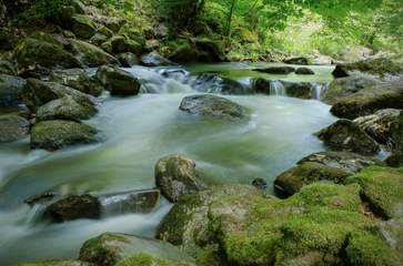 Flusslandschaft