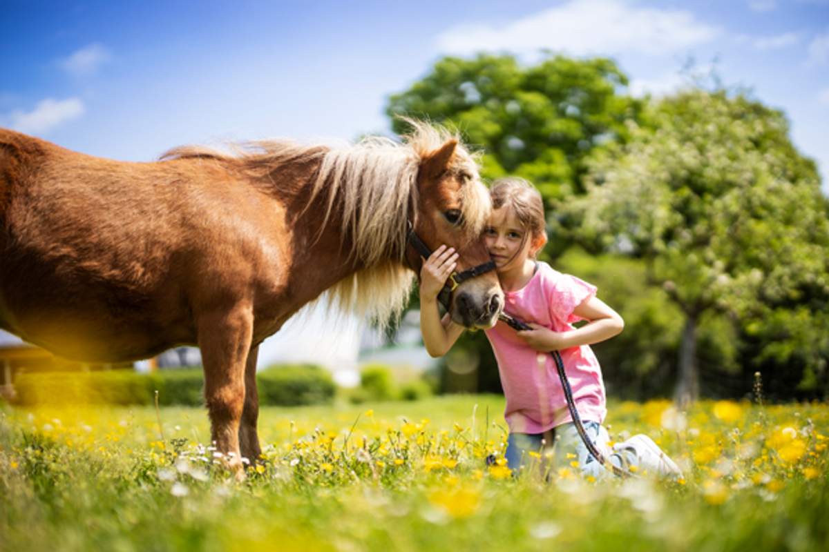 Familienurlaub im Schmallenberger Kinderland gewinnen!