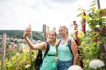 Weinwandern im Fränkischen Weinland mit Selfie Garantie