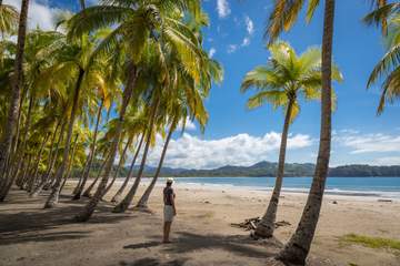 Tamarindo